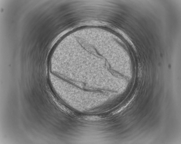 X0000085770837200704131801