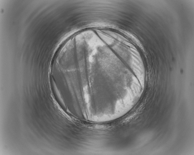 X0000085770839200704131801