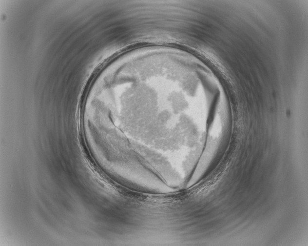 X0000085770840200704131801