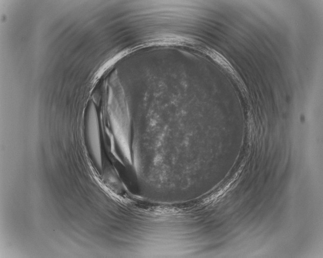 X0000085770842200704131801