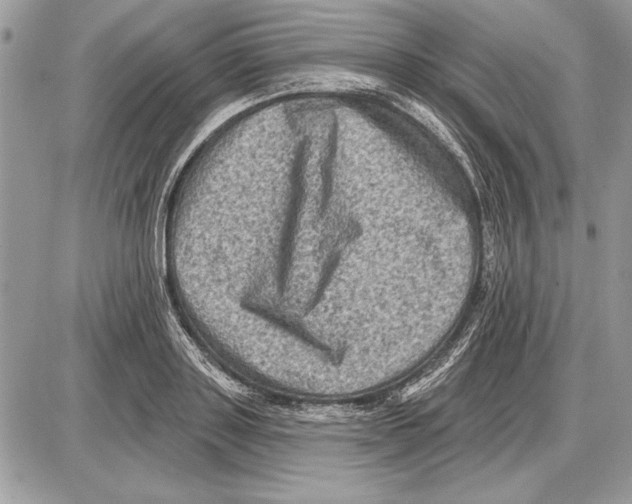 X0000085770843200704131801