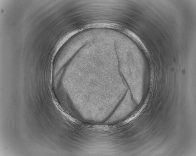 X0000085770844200704131801