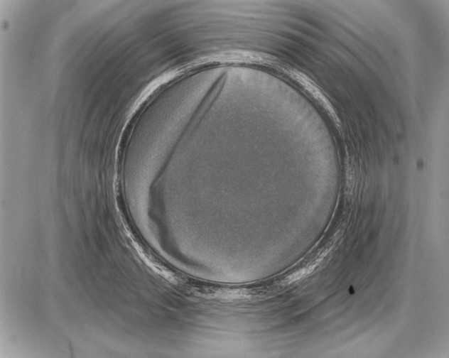 X0000085770845200704131801