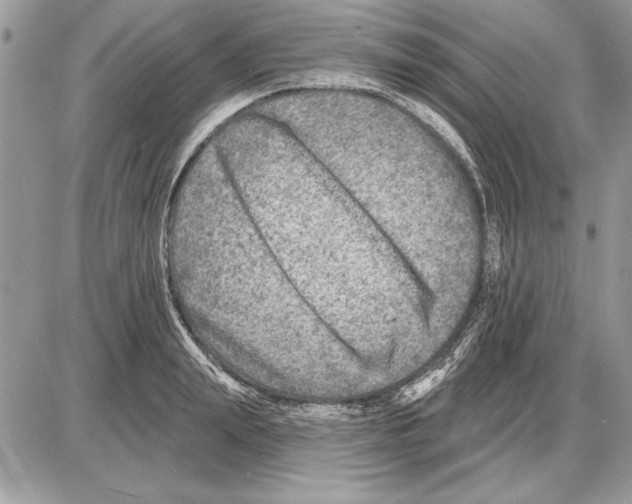 X0000085770847200704131801