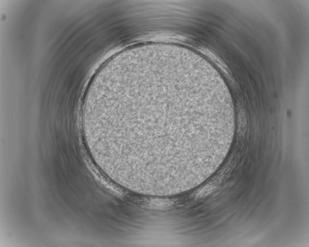 X0000085770848200704131801