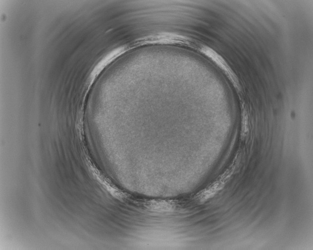 X0000085770850200704131801