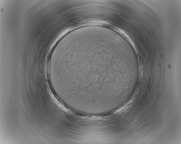 X0000085770851200704131801