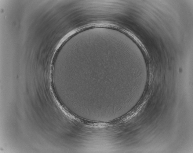 X0000085770853200704131801