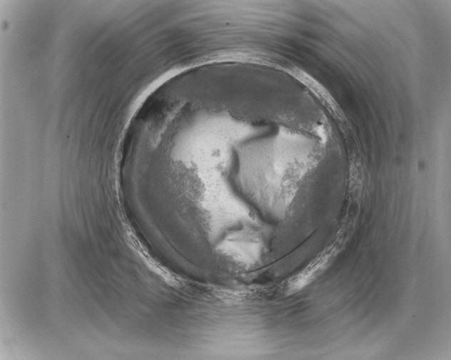 X0000085770854200704131801