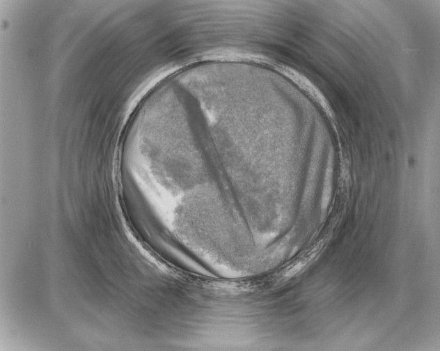 X0000085770855200704131801