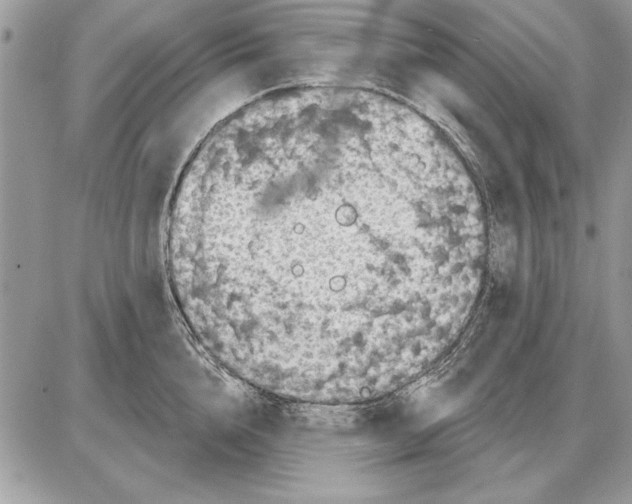 X0000085770856200704131801