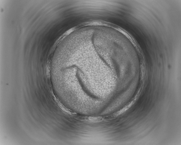 X0000085770857200704131801