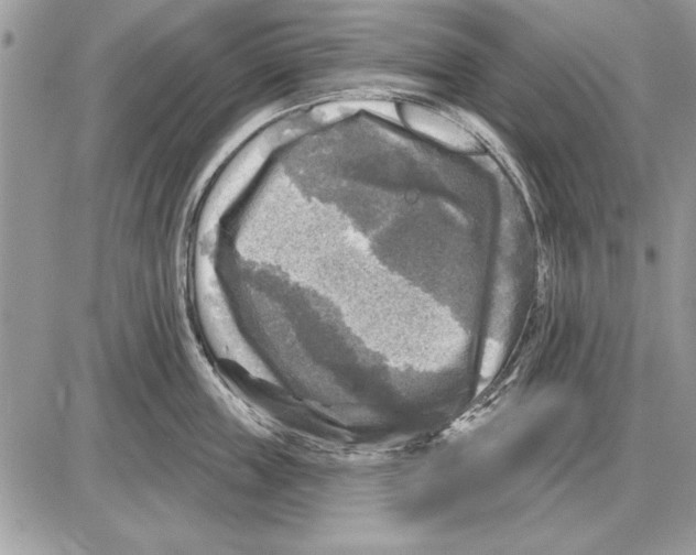 X0000085770859200704131802