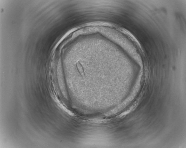 X0000085770860200704131802