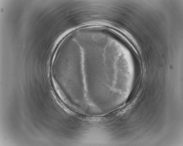 X0000085770862200704131802