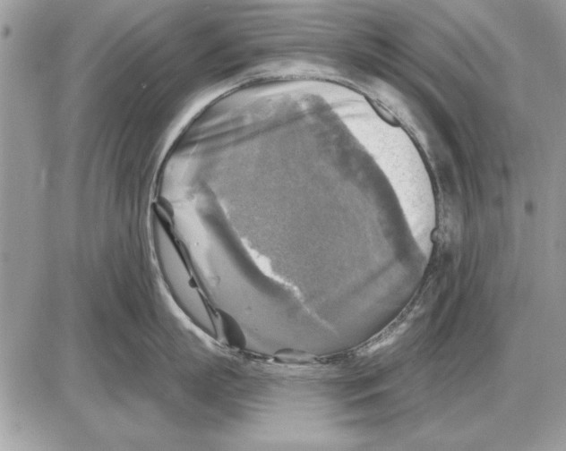 X0000085770863200704131802