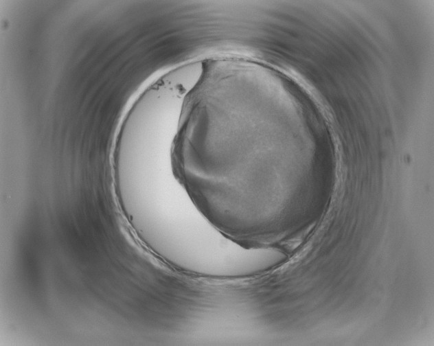 X0000085770864200704131802