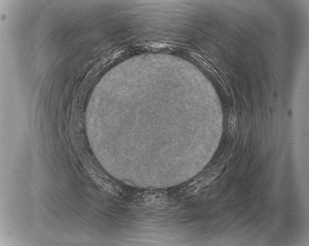 X0000085770865200704131801