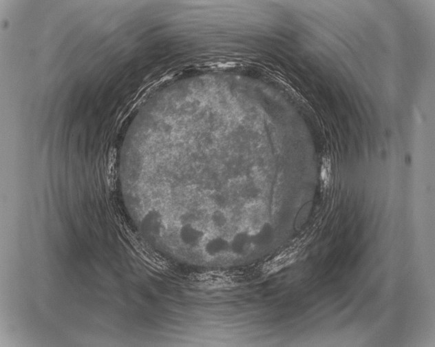 X0000085770867200704131801