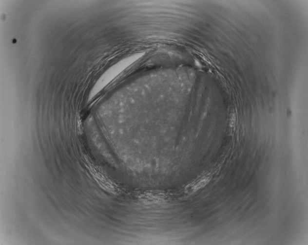 X0000085770868200704131801