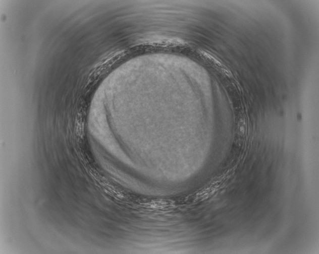 X0000085770869200704131801