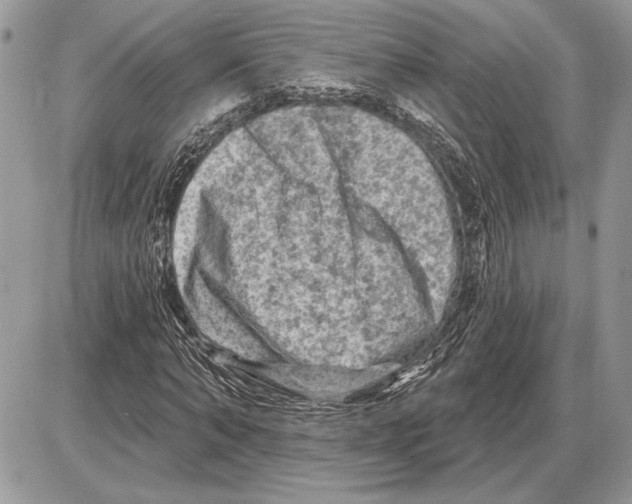 X0000085770870200704131801