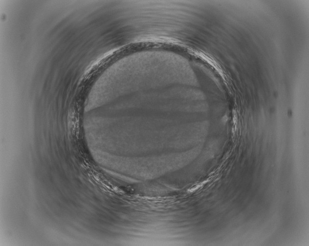 X0000085770872200704131801