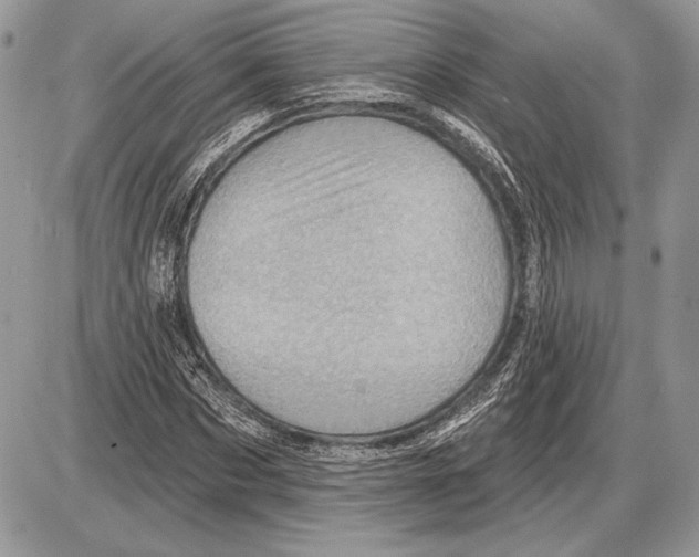 X0000085770873200704131801