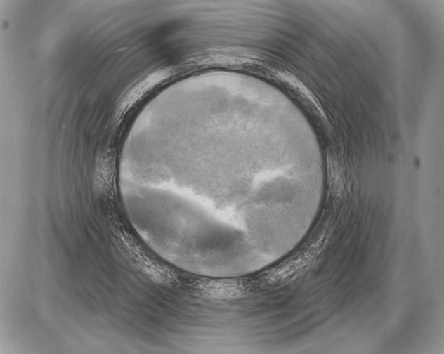 X0000085770874200704131801