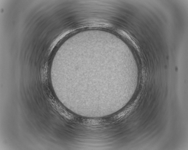 X0000085770875200704131801