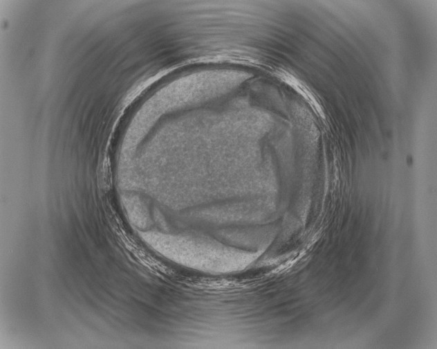 X0000085770876200704131801