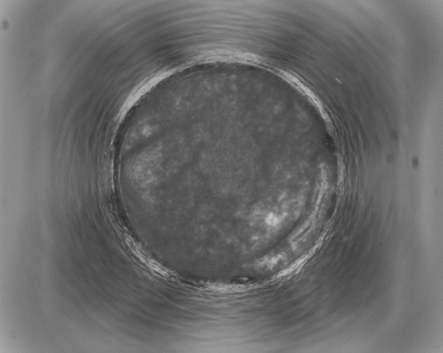 X0000085770877200704131801