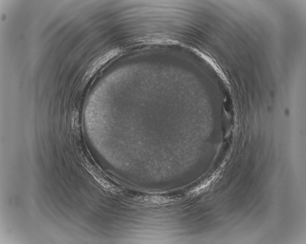 X0000085770881200704131801