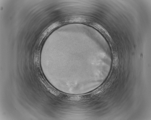 X0000085770882200704131801