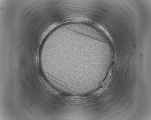 X0000085770883200704131800