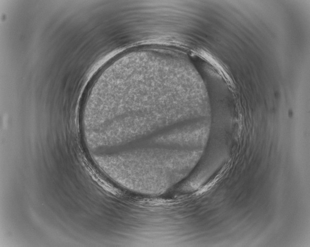 X0000085770884200704131800