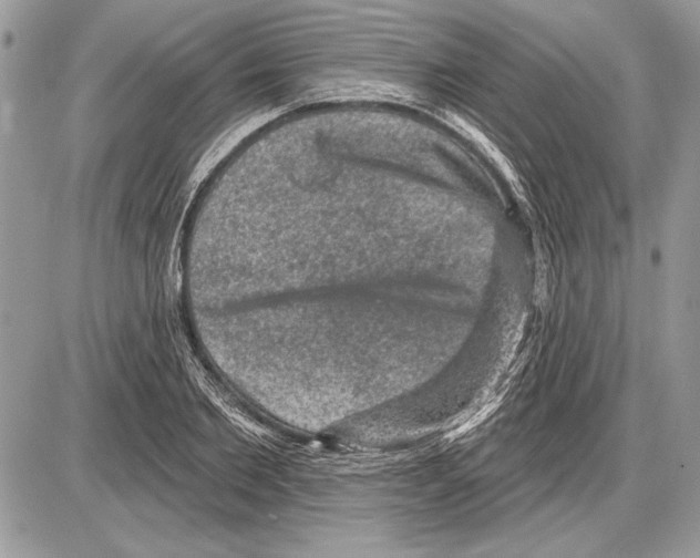 X0000085770885200704131800