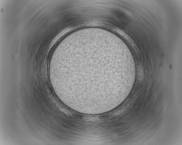 X0000085770886200704131800