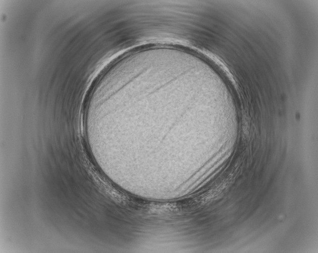 X0000085770887200704131800