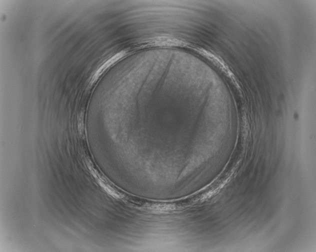 X0000085770889200704131800