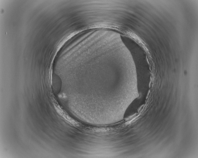 X0000085770892200704131800