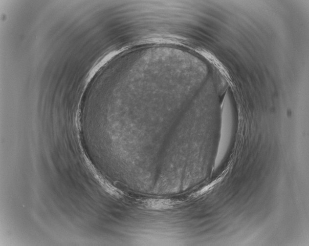 X0000085770893200704131800