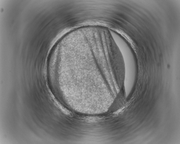 X0000085770894200704131800