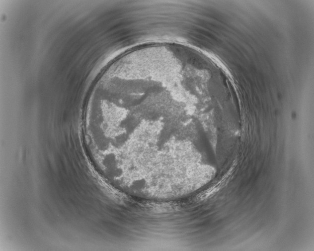 X0000085770895200704131800