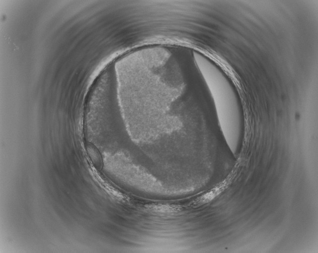 X0000085770896200704131800