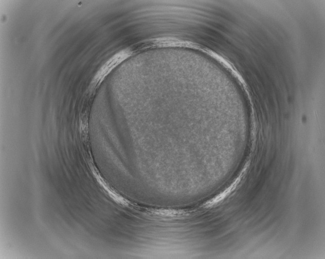 X0000085770897200704131800