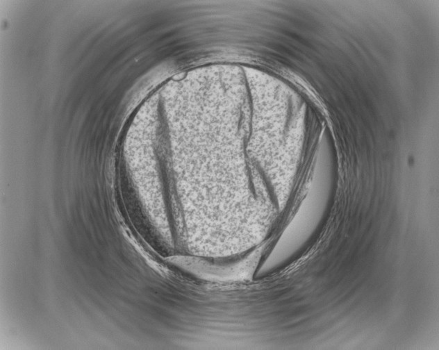 X0000085770898200704131800