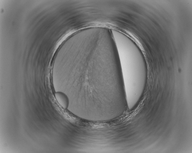 X0000085770899200704131800