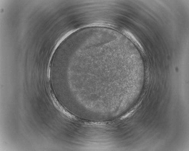 X0000085770900200704131800