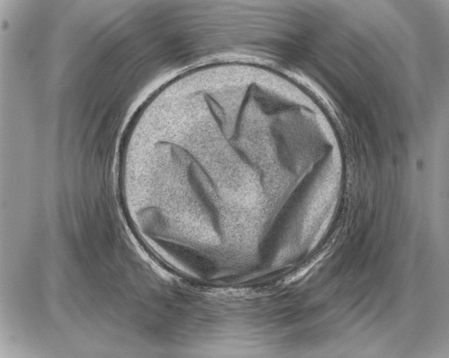 X0000085770902200704131800